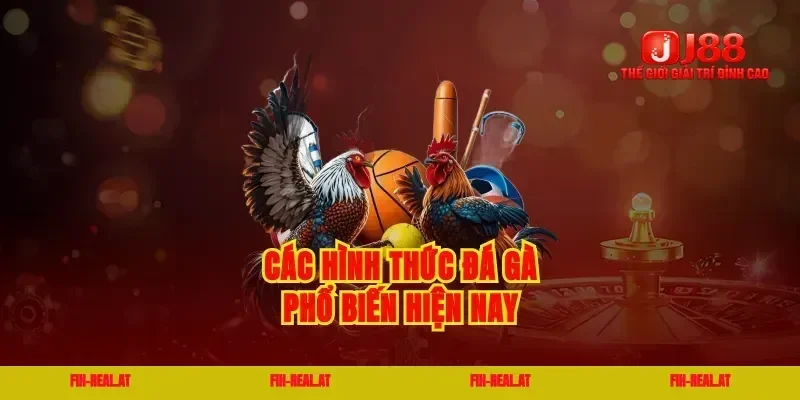Các hình thức đá gà phổ biến hiện nay