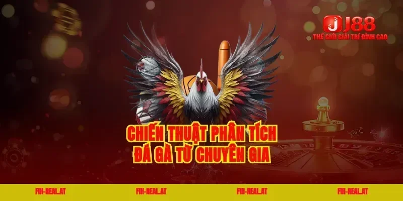 Chiến thuật phân tích đá gà từ chuyên gia