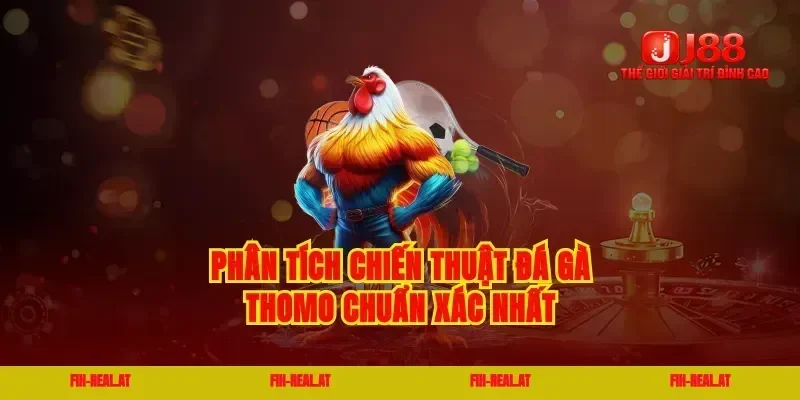 Phân tích chiến thuật đá gà thomo chuẩn xác nhất