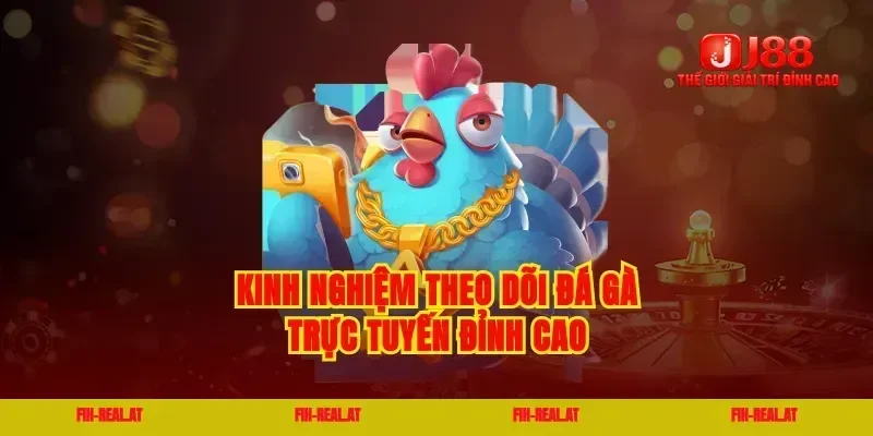 Kinh nghiệm theo dõi đá gà trực tuyến đỉnh cao