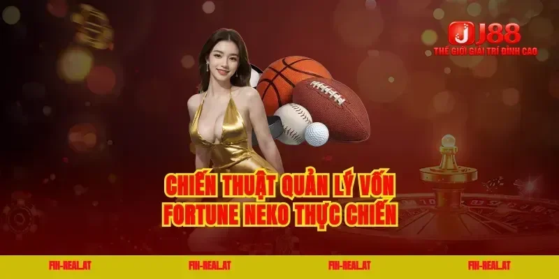Chiến thuật quản lý vốn fortune neko thực chiến
