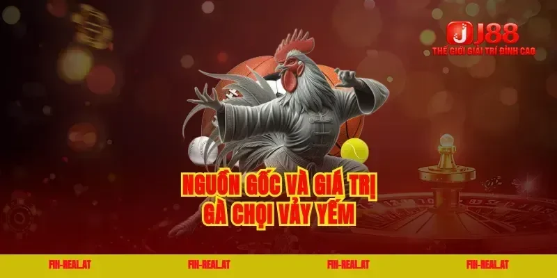 Nguồn gốc và giá trị gà chọi vảy yếm