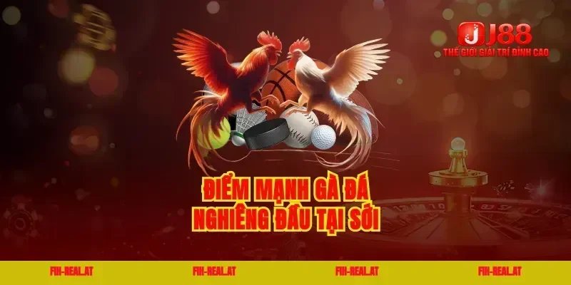 Điểm mạnh gà đá nghiêng đầu tại sới