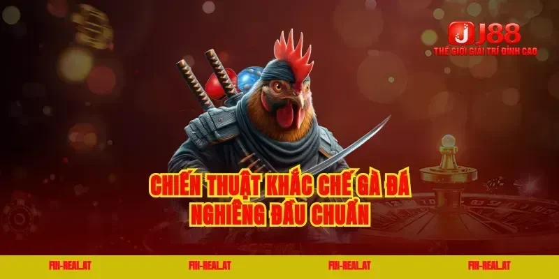 Chiến thuật khắc chế gà đá nghiêng đầu chuẩn