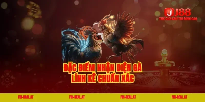 Đặc điểm nhận diện gà lính kê chuẩn xác