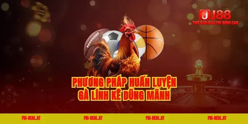 Phương pháp huấn luyện gà lính kê dũng mãnh
