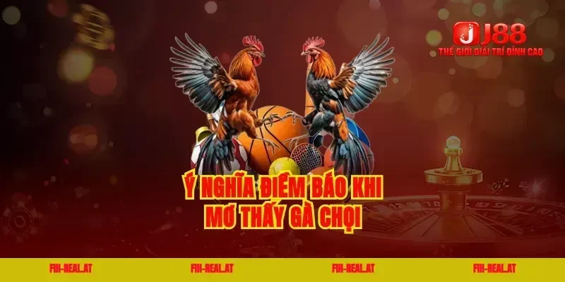 Ý nghĩa điềm báo khi mơ thấy gà chọi