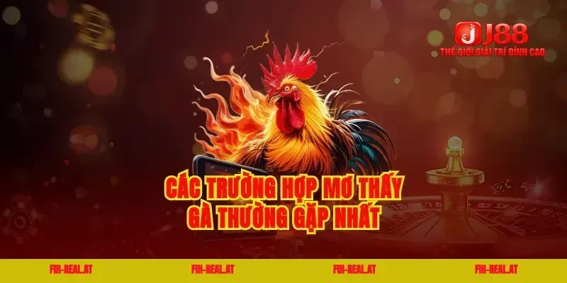 Các trường hợp mơ thấy gà thường gặp nhất