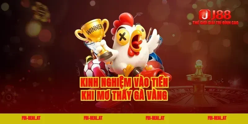 Kinh nghiệm vào tiền khi mơ thấy gà vàng