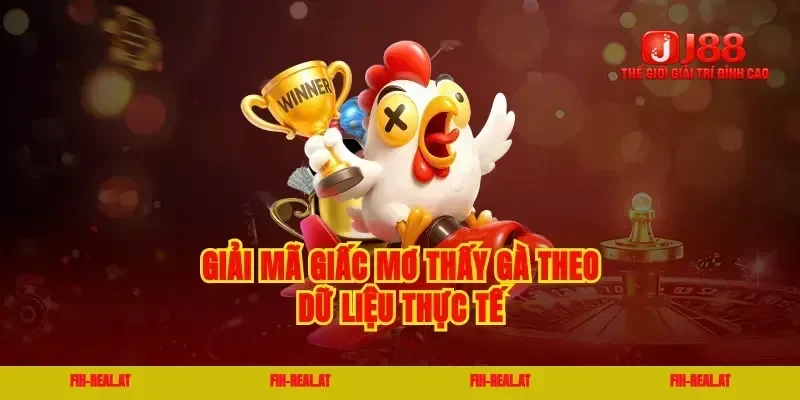 Giải mã giấc mơ thấy gà theo dữ liệu thực tế