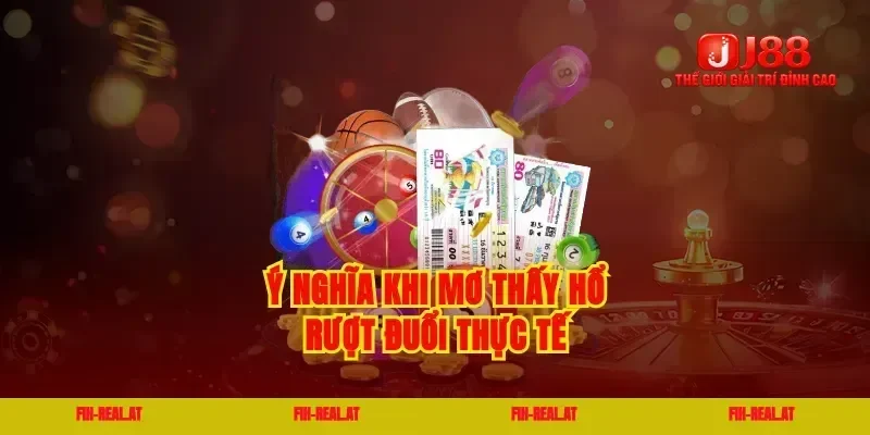 Ý nghĩa khi mơ thấy hổ rượt đuổi thực tế