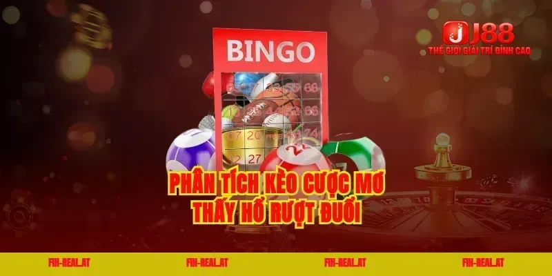 Phân tích kèo cược mơ thấy hổ rượt đuổi