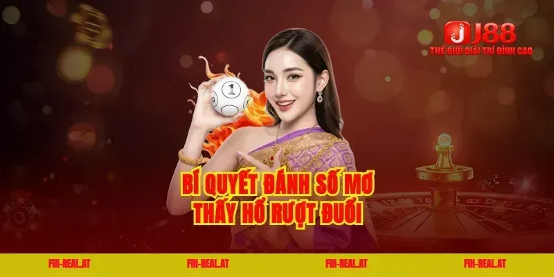 Bí quyết đánh số mơ thấy hổ rượt đuổi