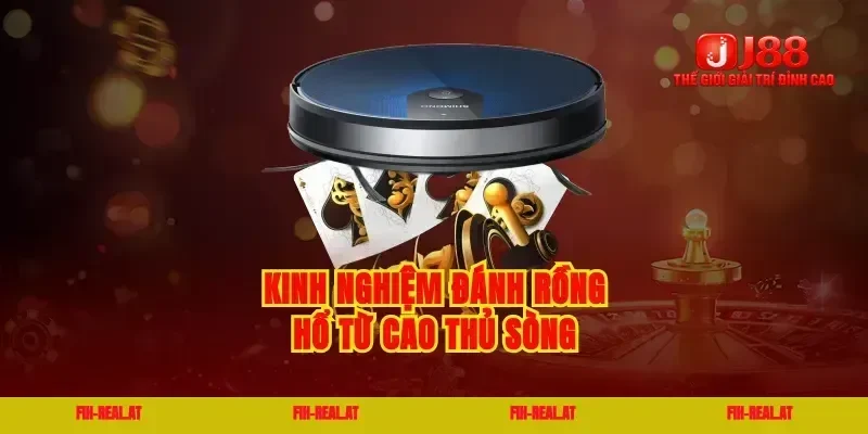 Kinh nghiệm đánh rồng hổ từ cao thủ sòng