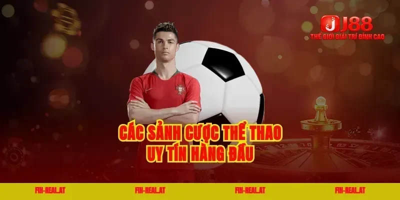 Các sảnh cược thể thao uy tín hàng đầu